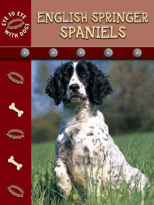 cover image of English Springer Spaniels